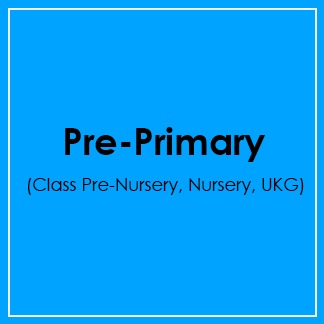 Pre-Primary (Class Pre-Nursery, Nursery, UKG)